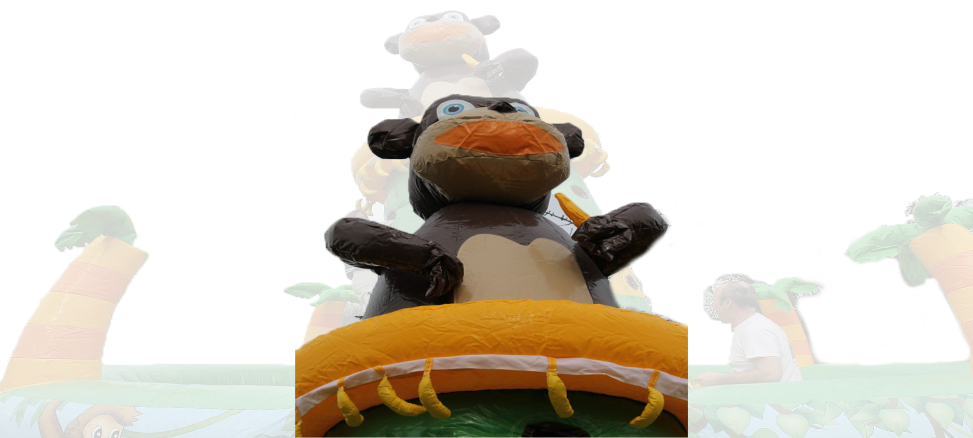Bananenklimboom