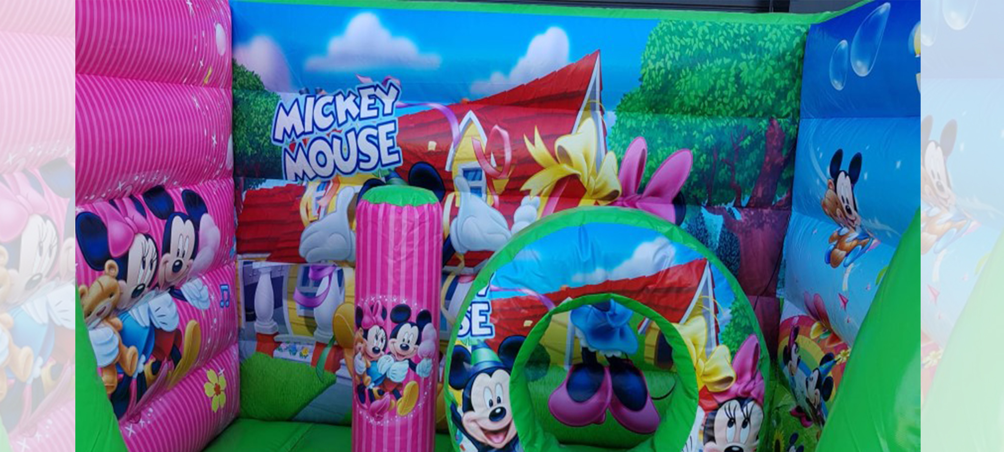 mini mickey