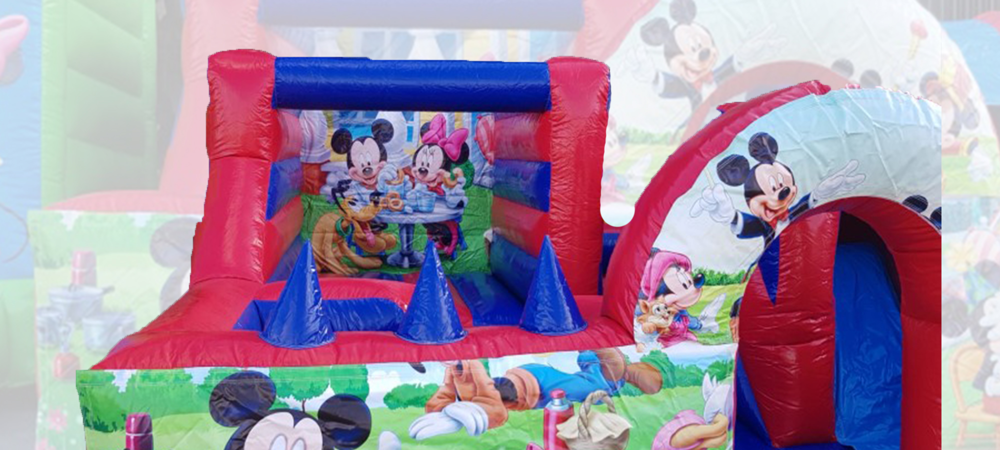 Mickey All in 1