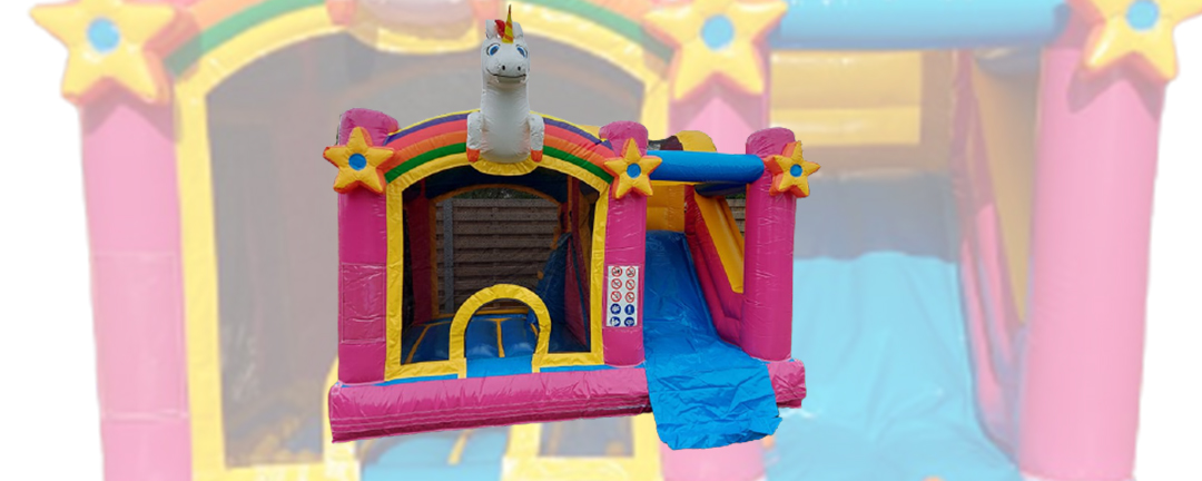 Unicorn party