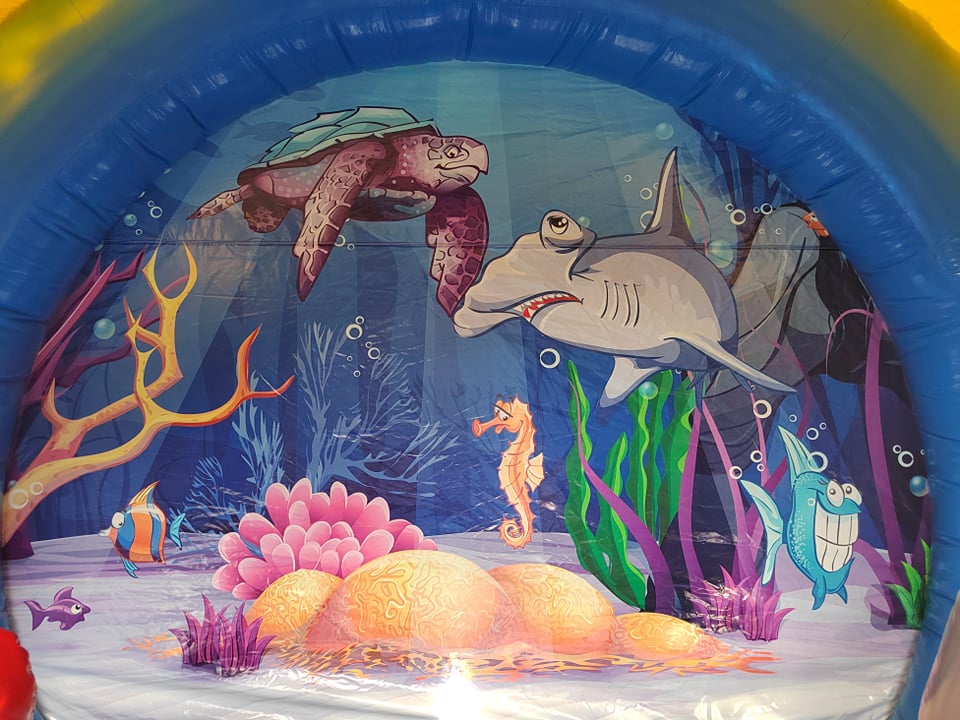 Sealife