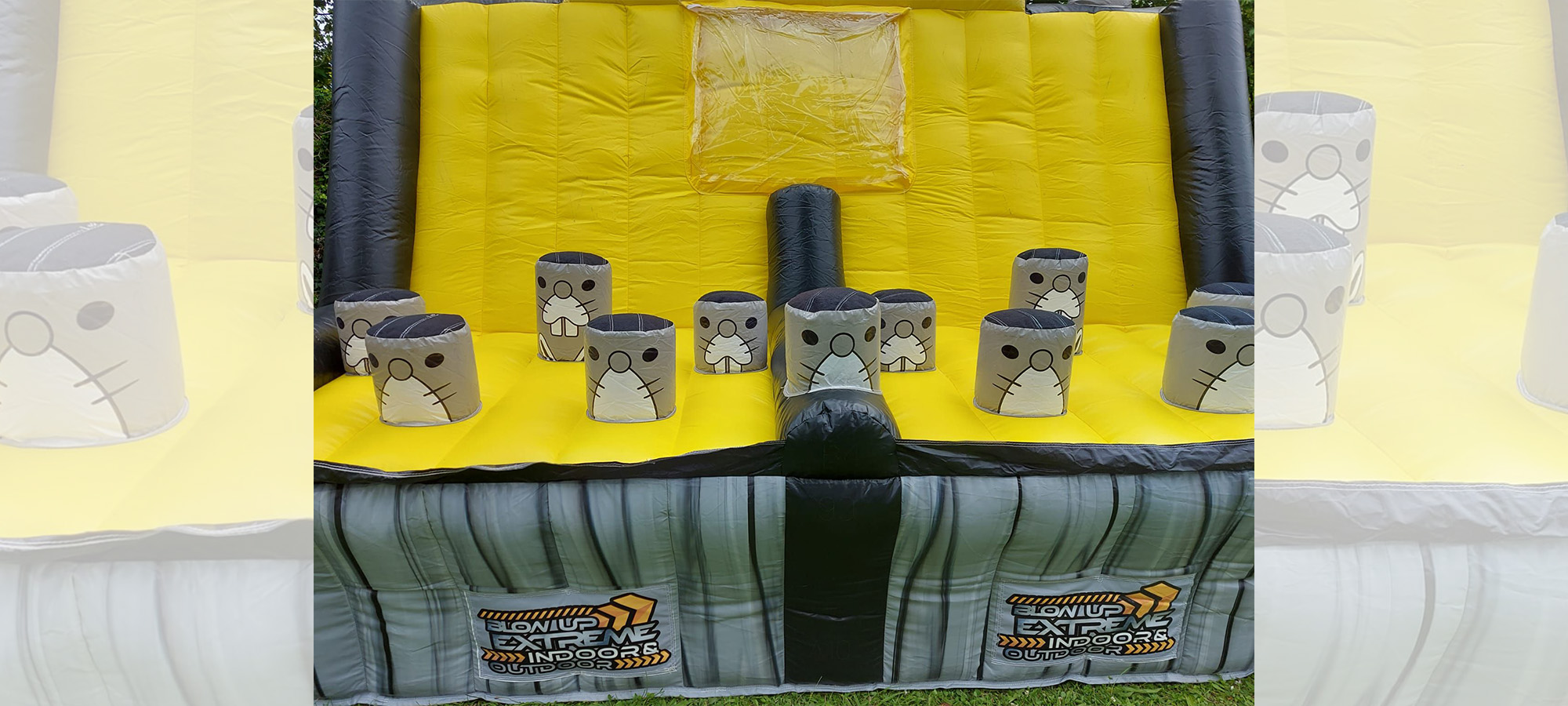 Whack a mole IPS