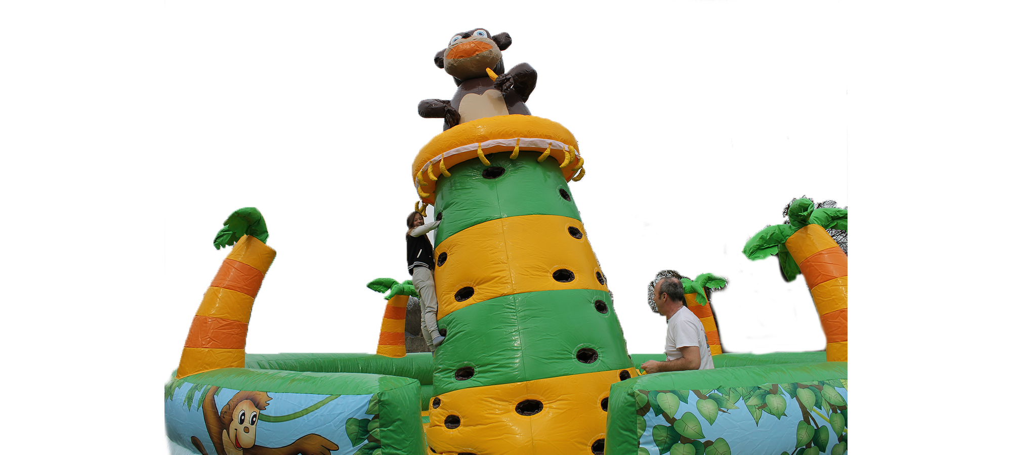 MCJ’s Bananenklimboom – €195