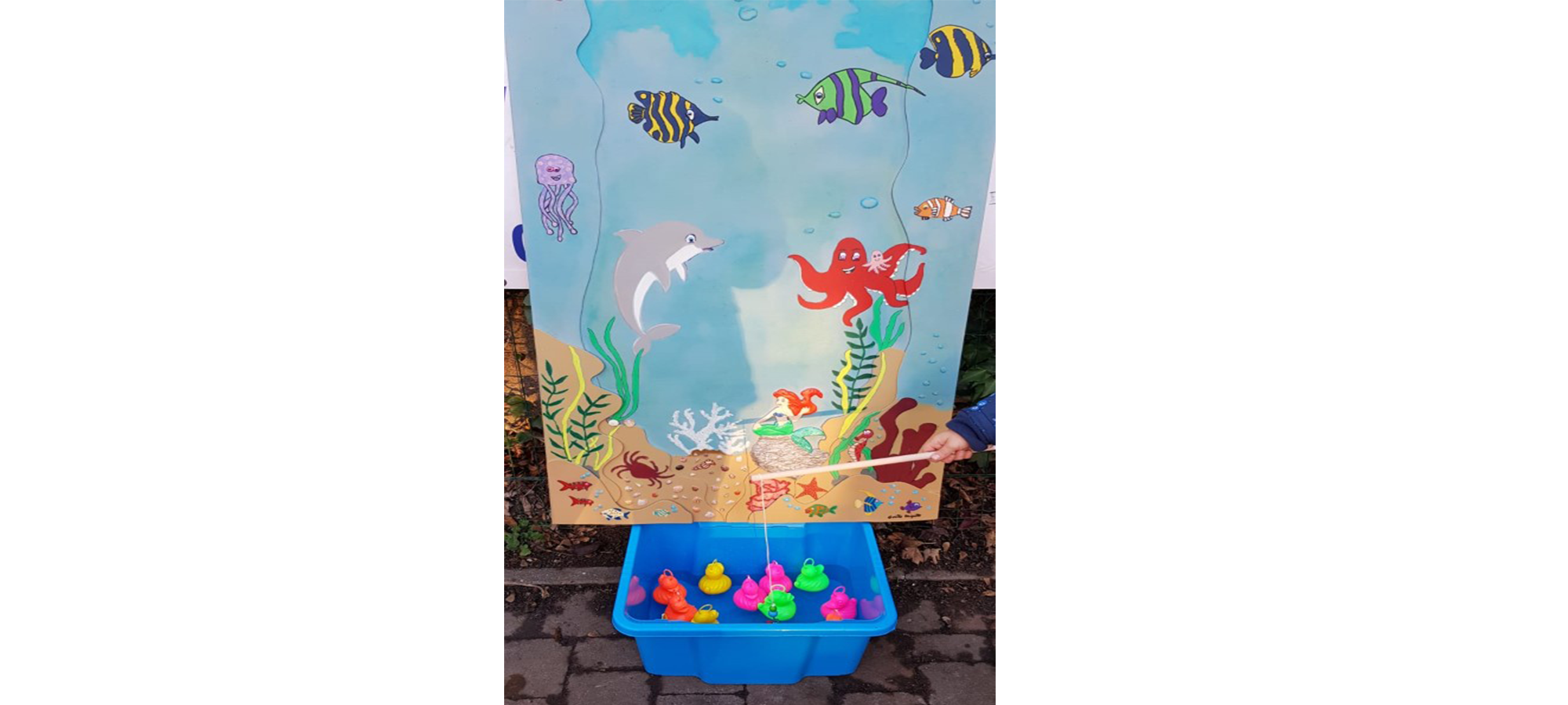 Eendjes vissen €20